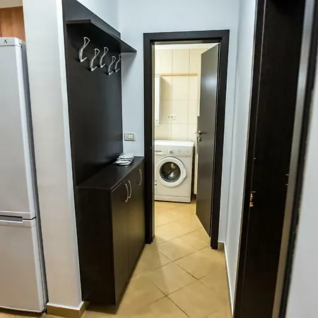 D&o Zola Timisoara